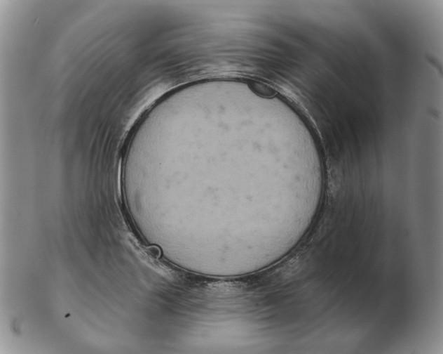 X0000103151227200809121809