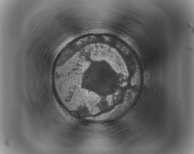 X0000103151229200809121809