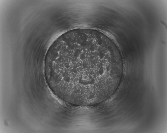 X0000103151231200809121809