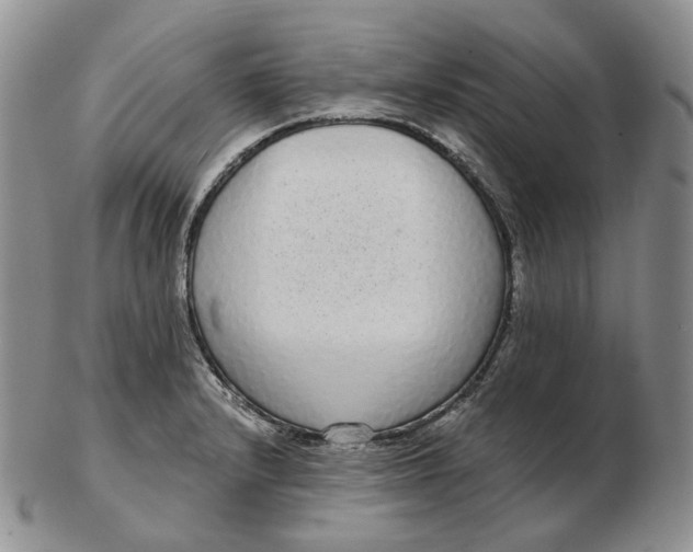 X0000103151232200809121809