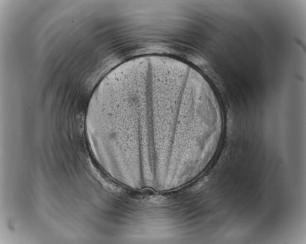 X0000103151233200809121809