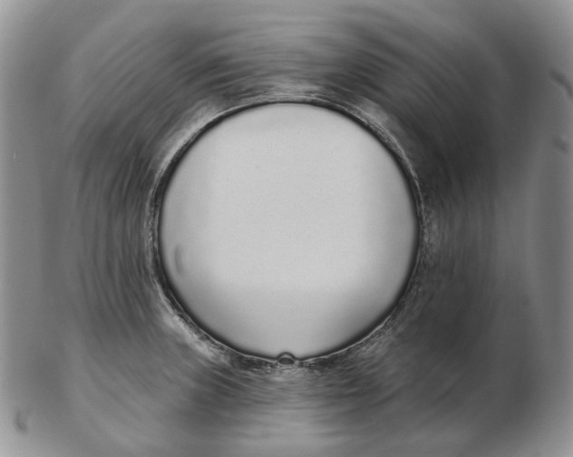 X0000103151235200809121809