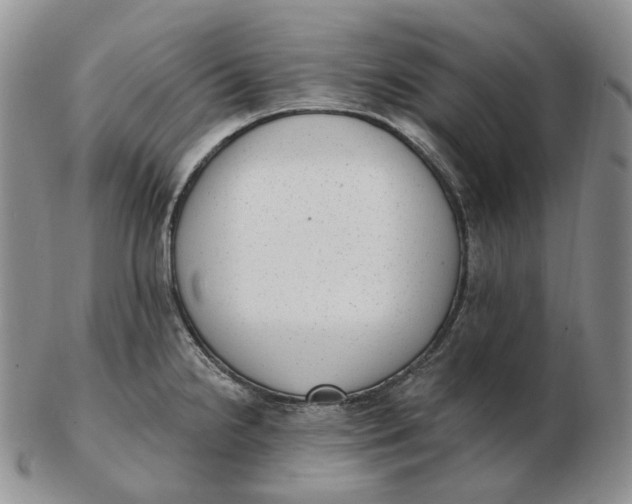 X0000103151238200809121809