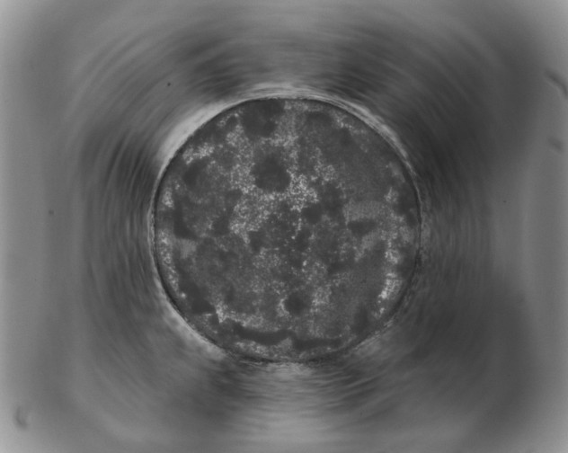 X0000103151239200809121809