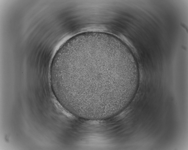 X0000103151240200809121809