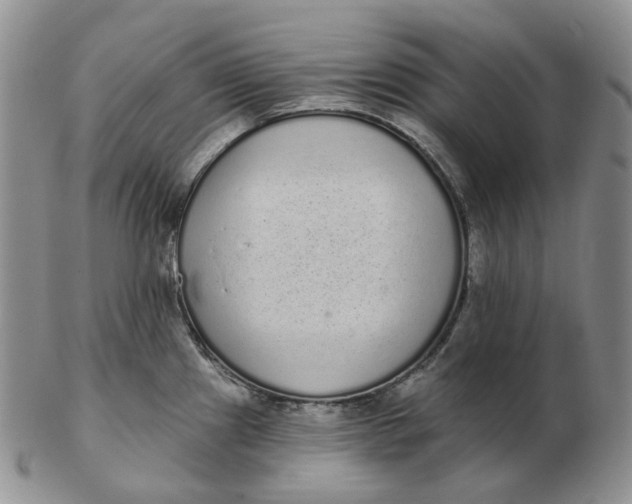 X0000103151241200809121809