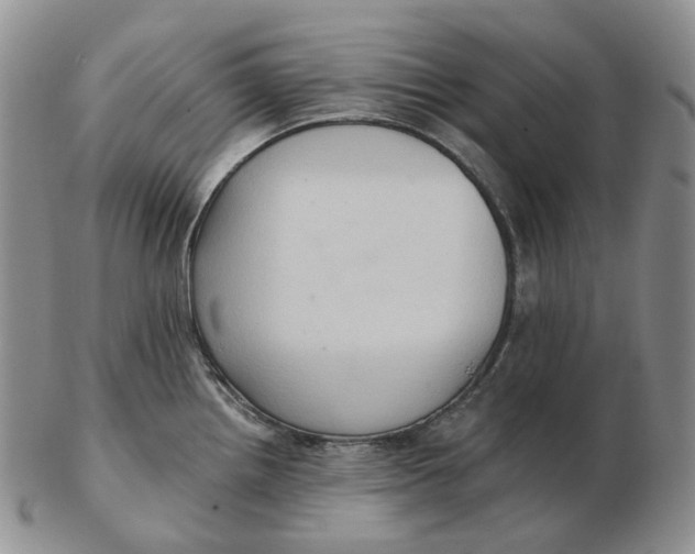 X0000103151242200809121809