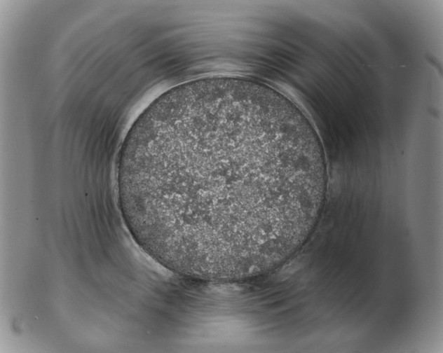 X0000103151243200809121809