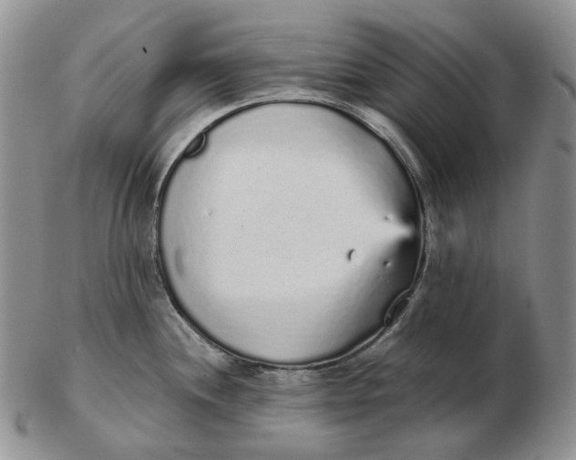 X0000103151244200809121809