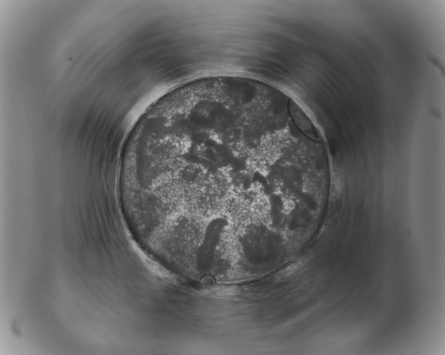 X0000103151245200809121809