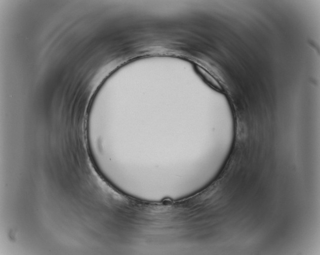 X0000103151247200809121809