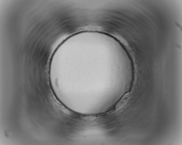 X0000103151248200809121809