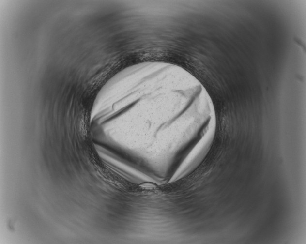 X0000103151250200809121808