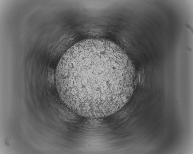 X0000103151251200809121808