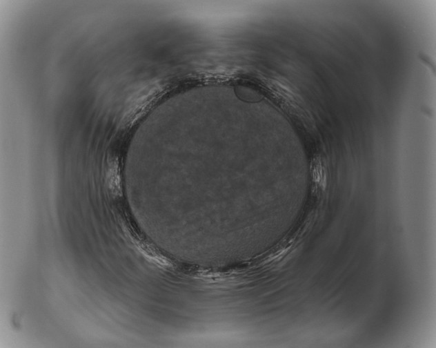 X0000103151252200809121808