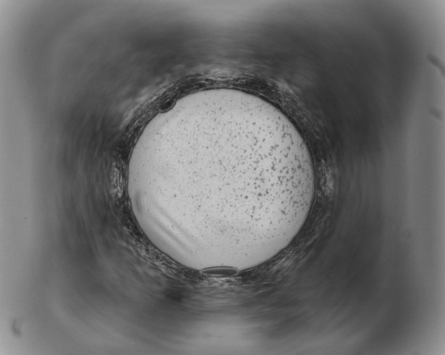 X0000103151253200809121808