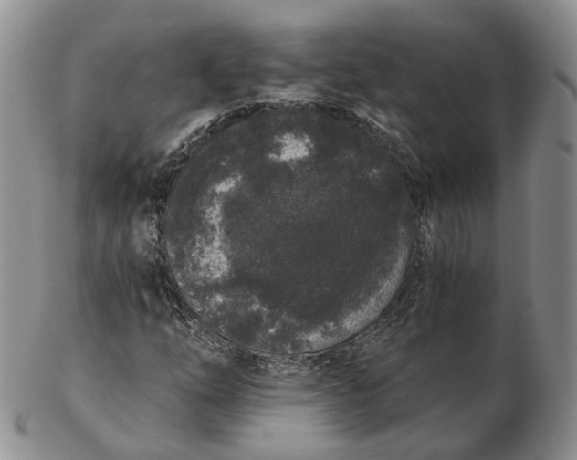 X0000103151254200809121808