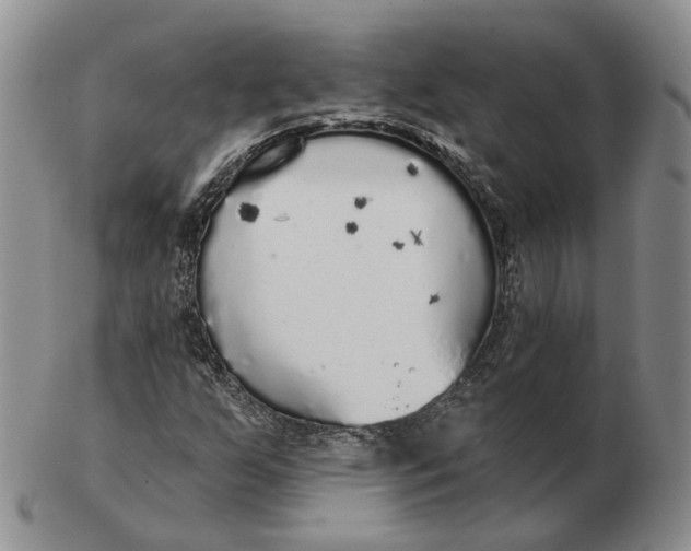 X0000103151255200809121808