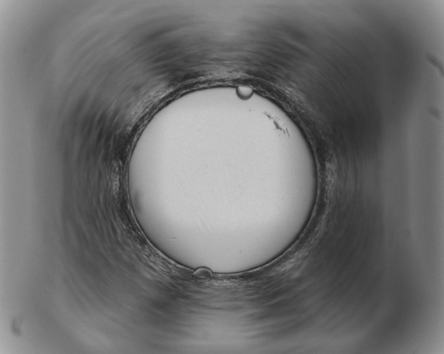 X0000103151257200809121808