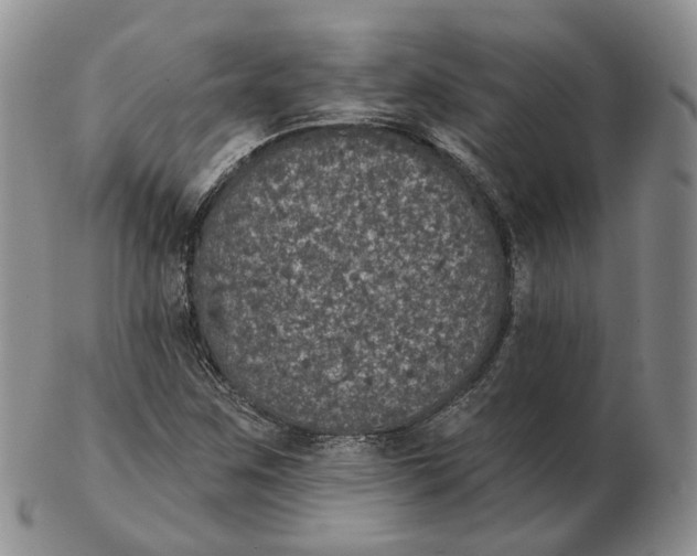 X0000103151259200809121808