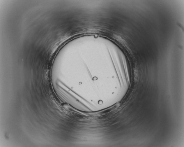 X0000103151260200809121808