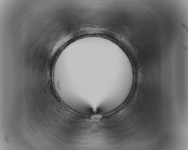 X0000103151261200809121808