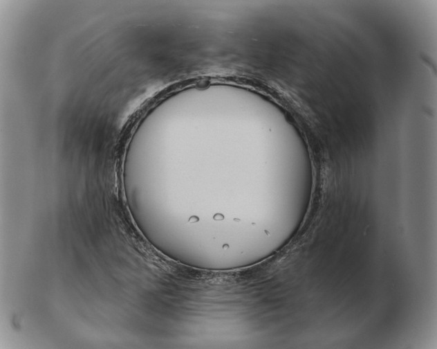 X0000103151262200809121808