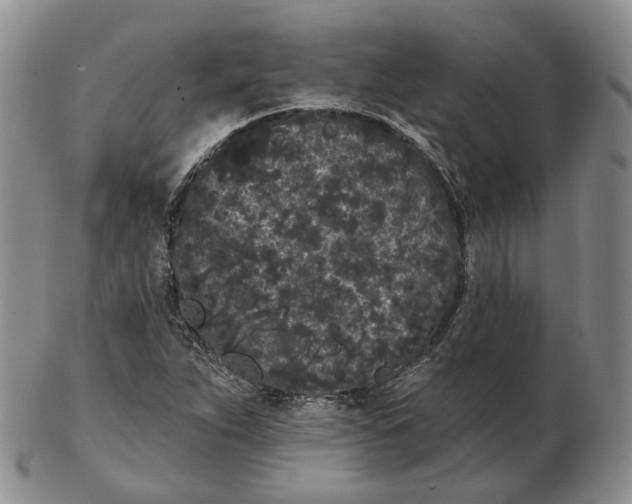 X0000103151263200809121808