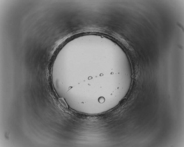 X0000103151264200809121808