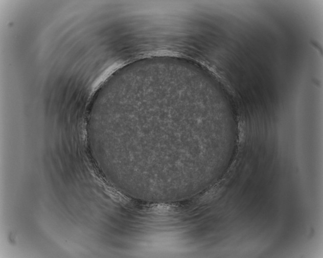 X0000103151266200809121808