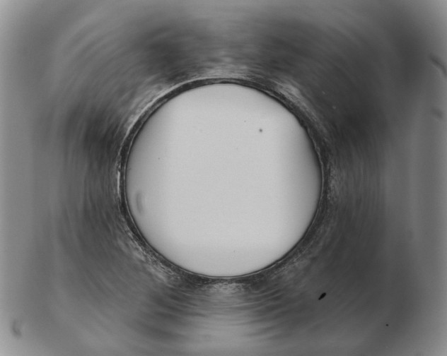 X0000103151268200809121808