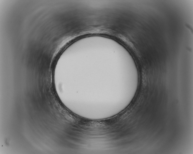 X0000103151270200809121808