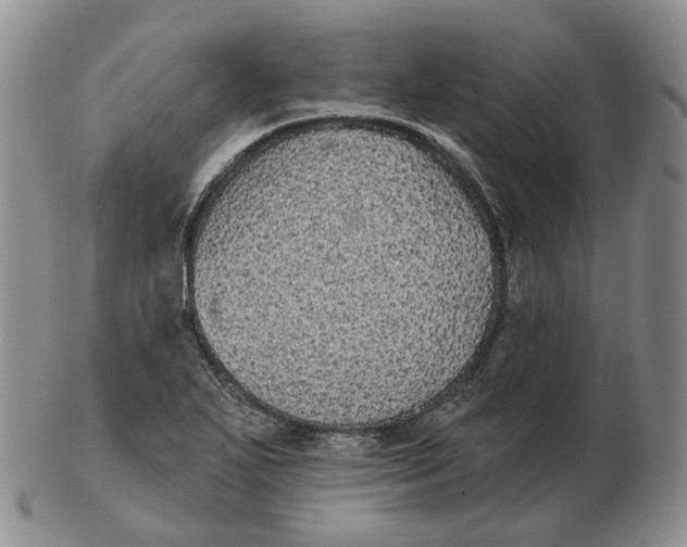 X0000103151271200809121808