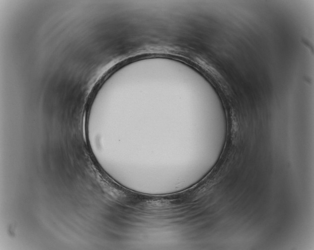 X0000103151272200809121808