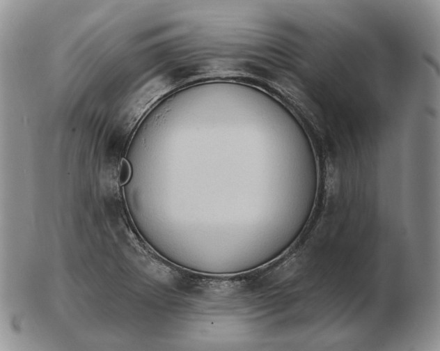 X0000103151273200809121808