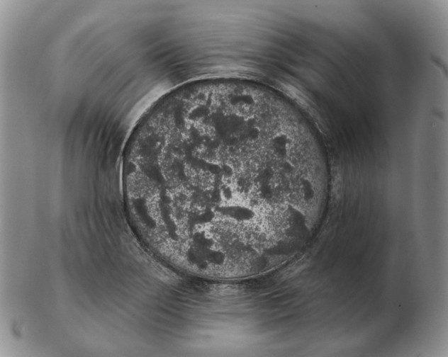 X0000103151275200809121808