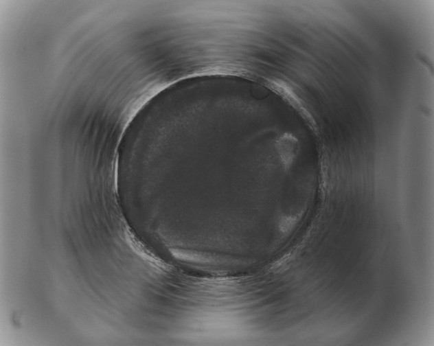 X0000103151276200809121808