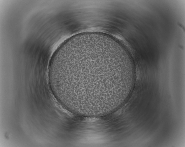 X0000103151278200809121808