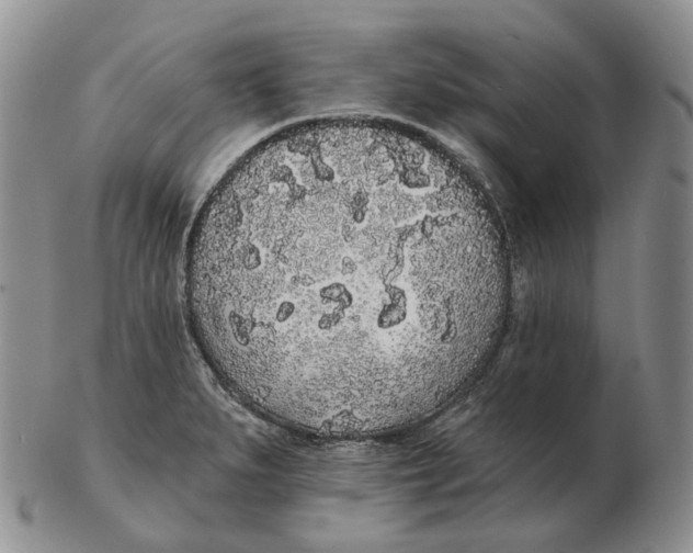 X0000103151279200809121808