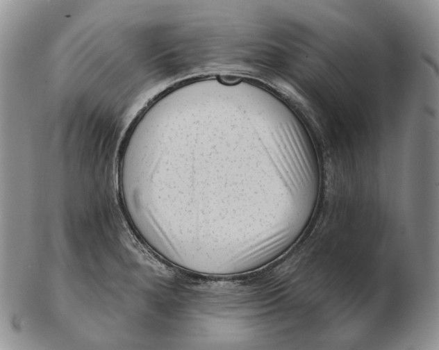 X0000103151280200809121808