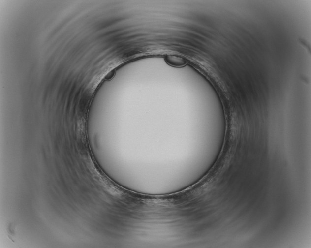 X0000103151281200809121808