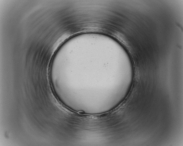 X0000103151283200809121808