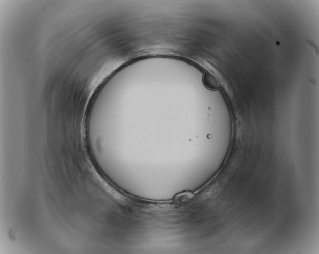 X0000103151285200809121808