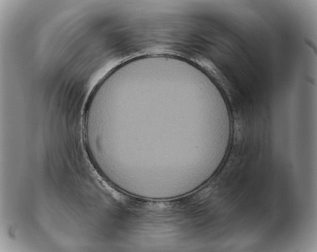 X0000103151286200809121808