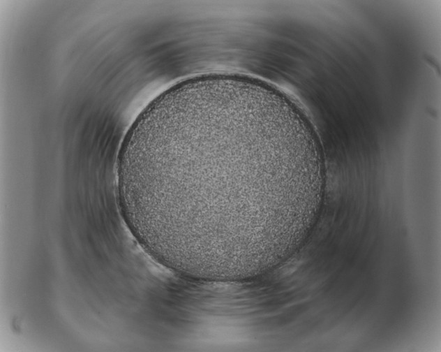 X0000103151287200809121808