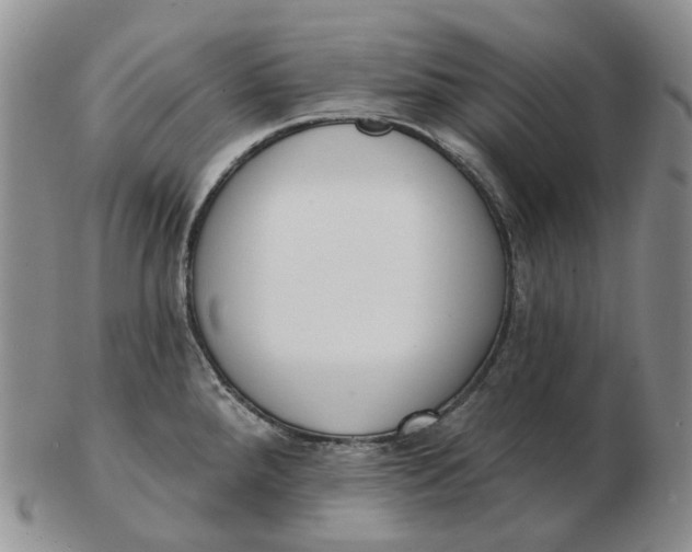 X0000103151288200809121808