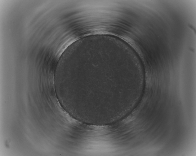 X0000103151289200809121808