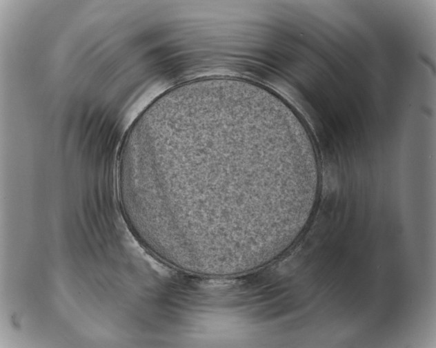 X0000103151290200809121808