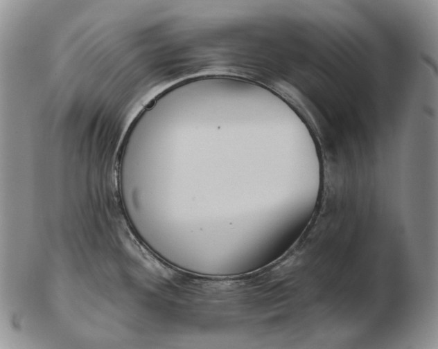 X0000103151292200809121808