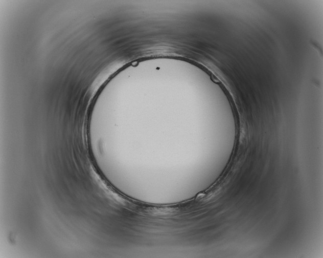 X0000103151293200809121808